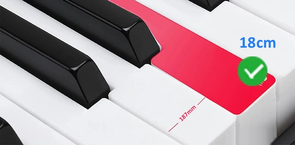 Пианино-синтезатор купить для начинающих и профессионалов на день рождения